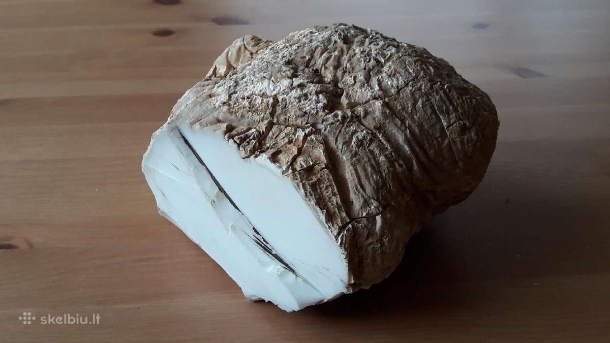 Kacholongas/baltasis opalas didelis virš 2 kg - nuotraukos Nr. 8