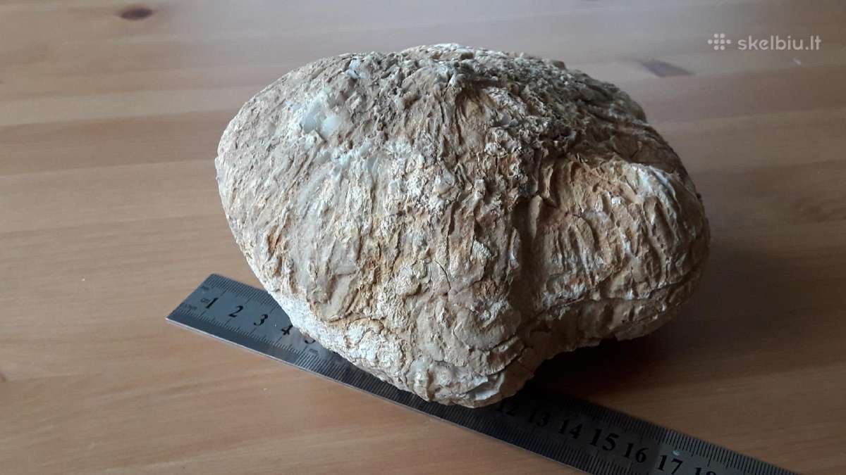 Kacholongas/baltasis opalas didelis virš 2 kg - nuotraukos Nr. 11