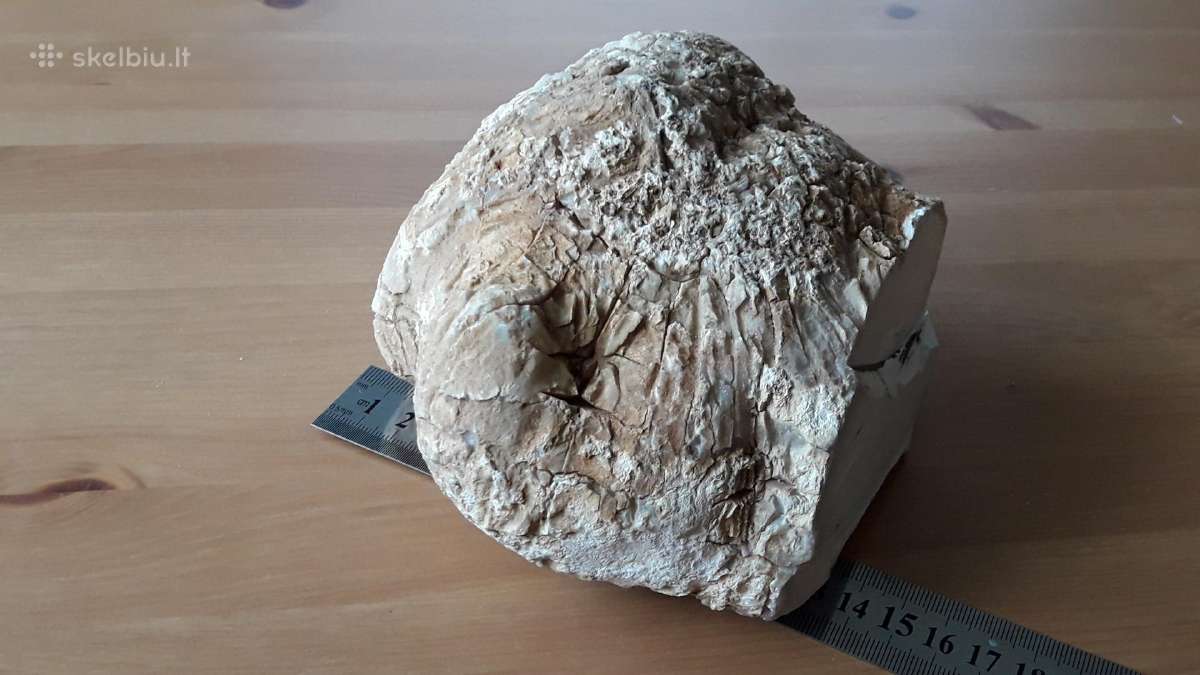 Kacholongas/baltasis opalas didelis virš 2 kg - nuotraukos Nr. 9