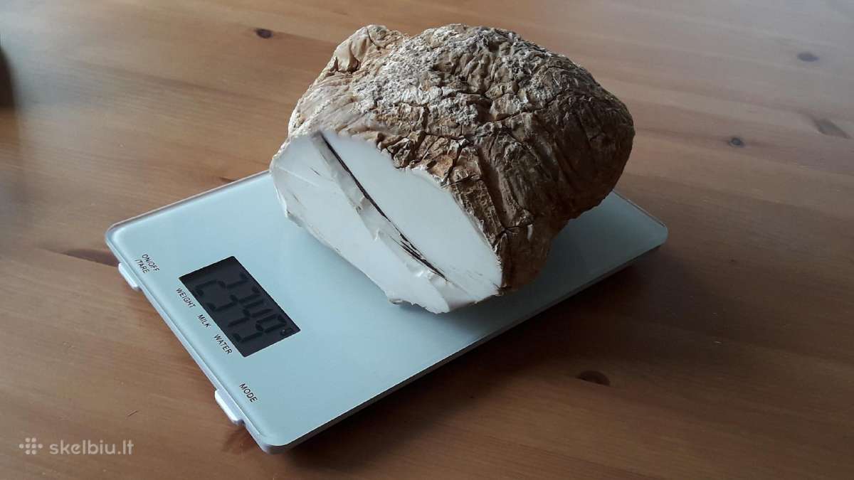 Kacholongas/baltasis opalas didelis virš 2 kg - nuotraukos Nr. 12