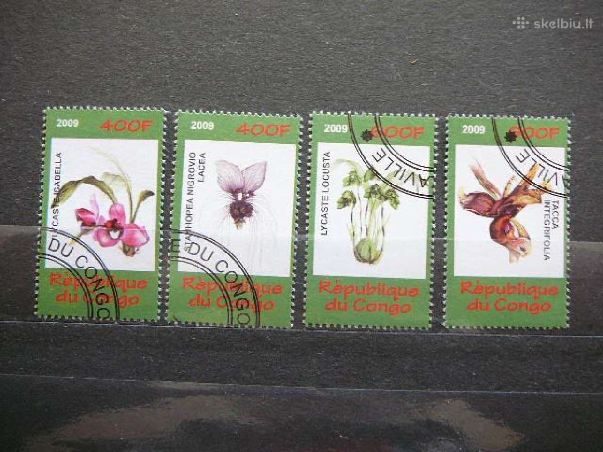 Orchidejos Geles Kongas 2009 antsp. s504c