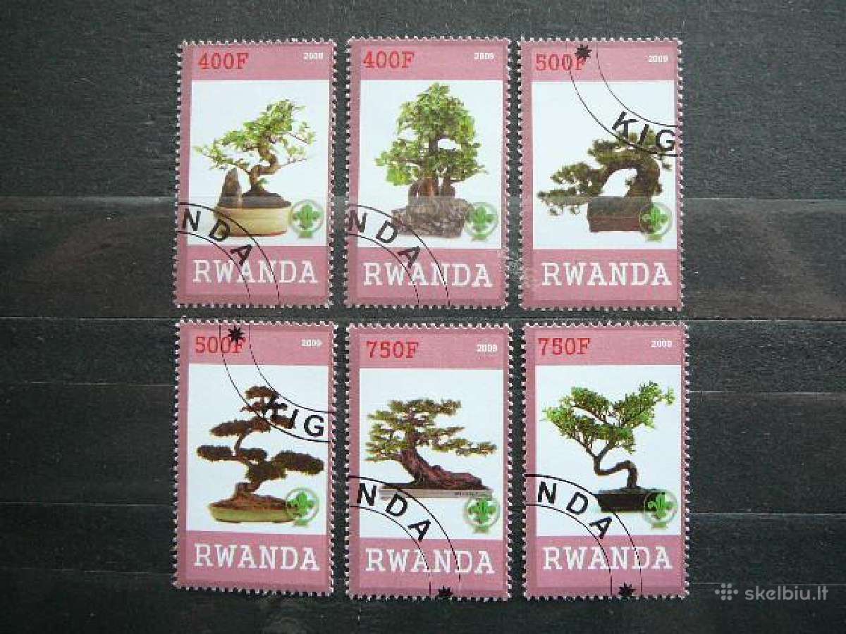 Bonsai Ruanda 2009 antsp. s531n