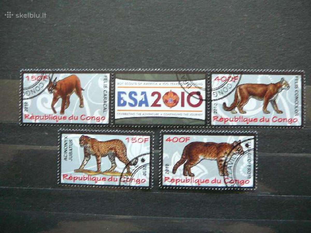 Jaguarai Kates laukines Kongas 2010 antsp. s631r