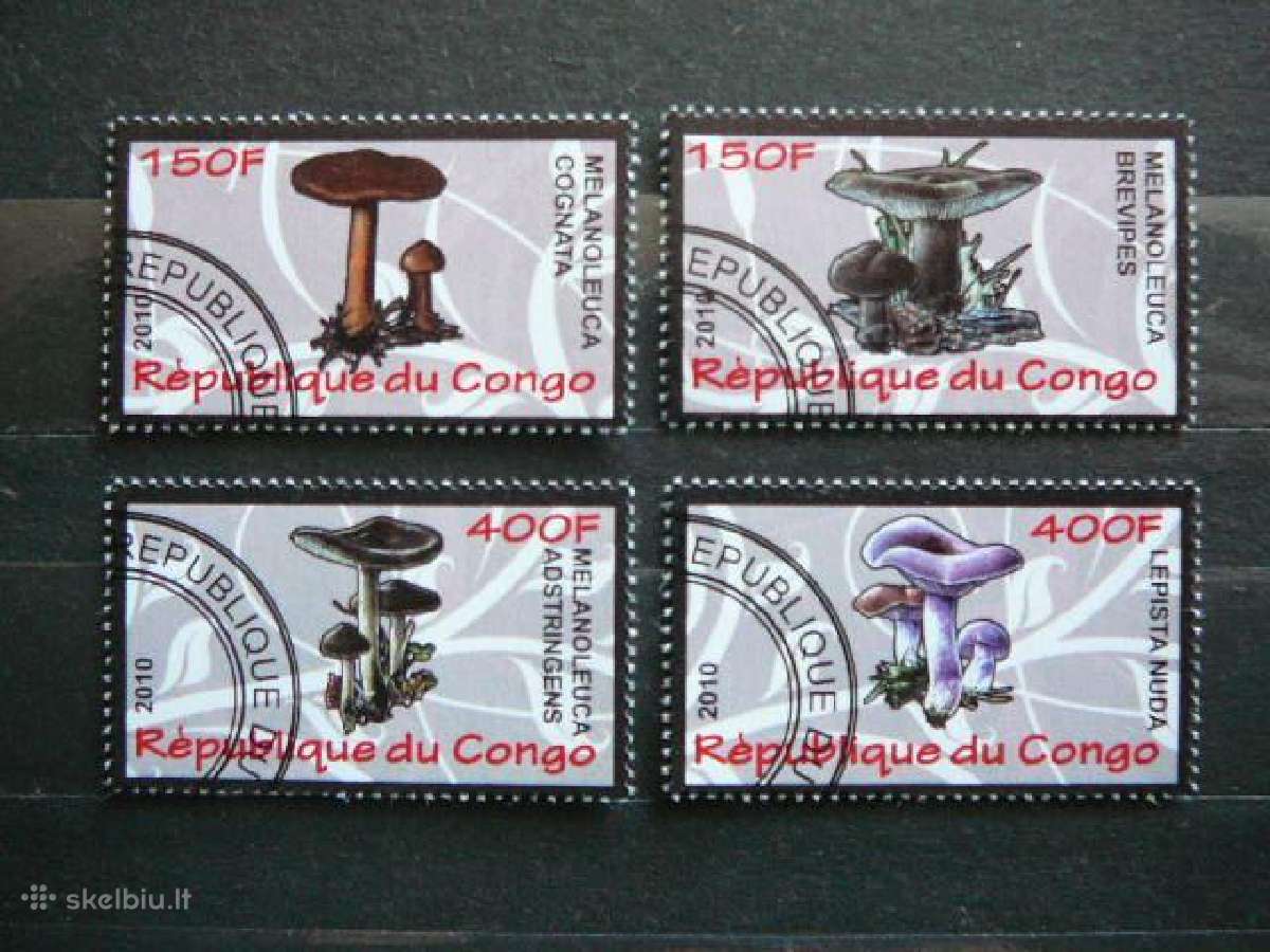 Grybai antsp. s632r | Skelbiu.lt Grybai antsp. s632r