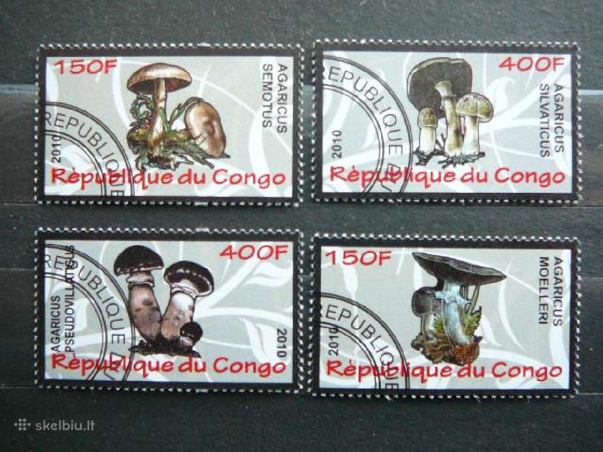 Grybai antsp. s638r | Skelbiu.lt Grybai antsp. s638r
