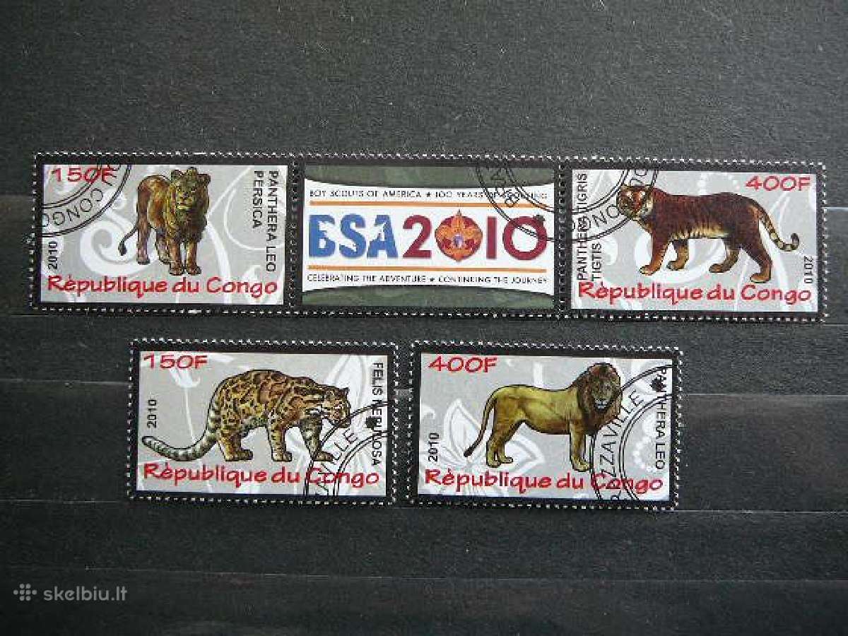 Tigrai Liutai Kates laukines Kongas 2010 s638z
