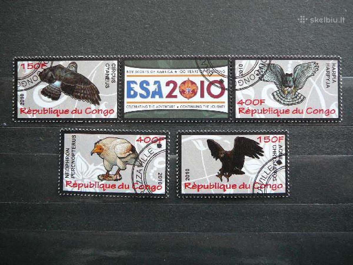 Pauksciai Kongas 2010 antsp. s639p
