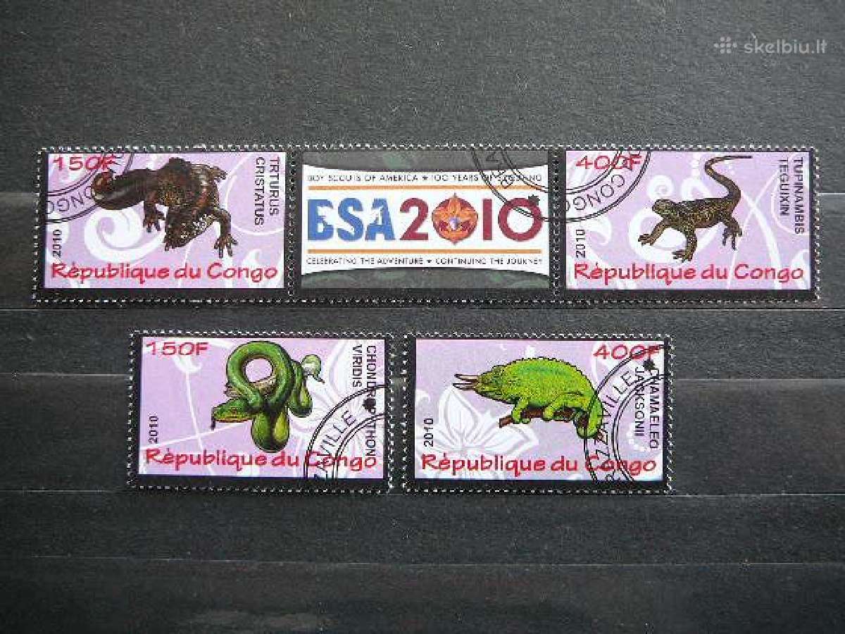 Reptilijos antsp. s640t | Skelbiu.lt Reptilijos antsp. s640t
