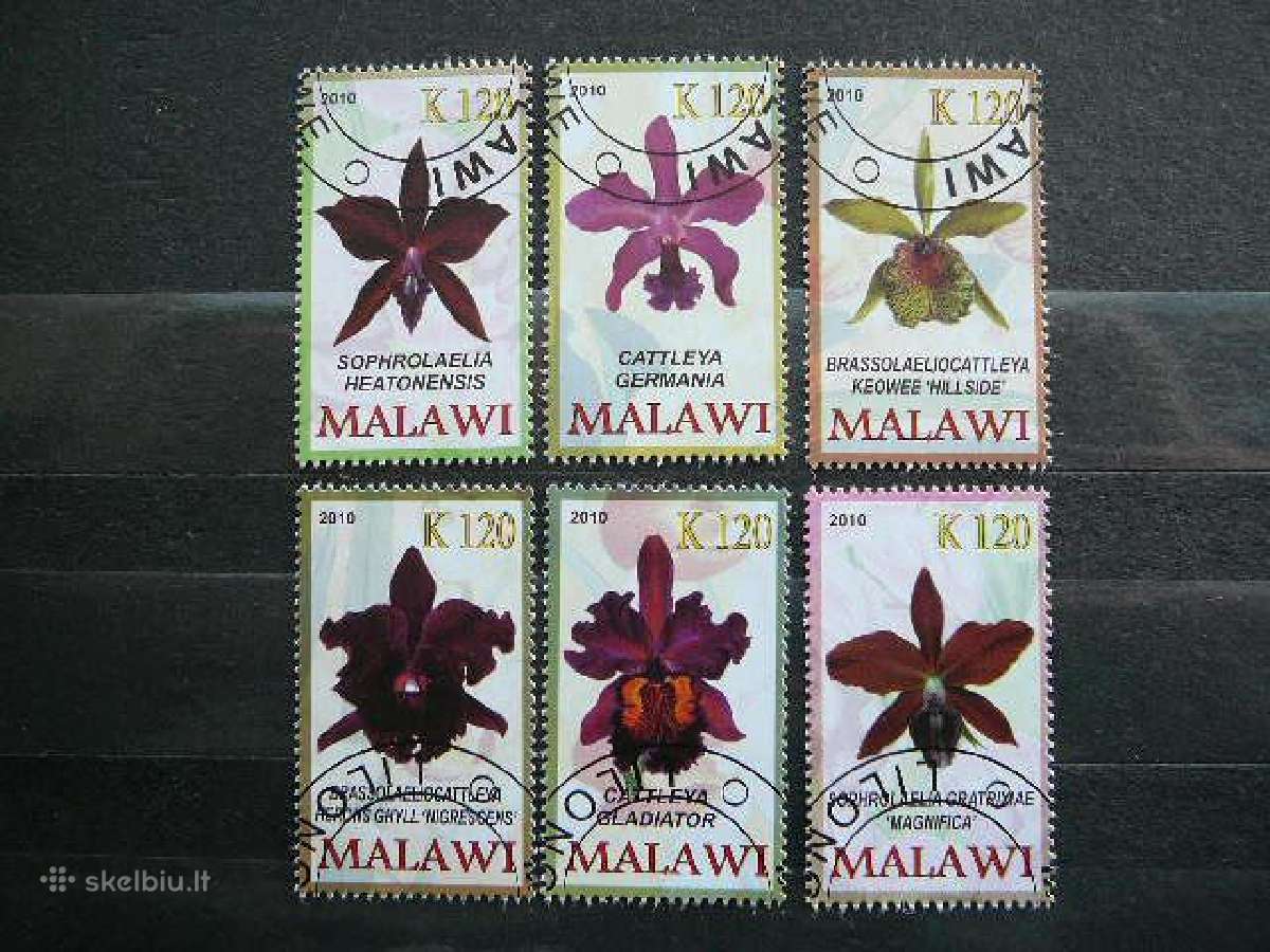 Orchidejos Geles Malavis 2010 antsp. s748h