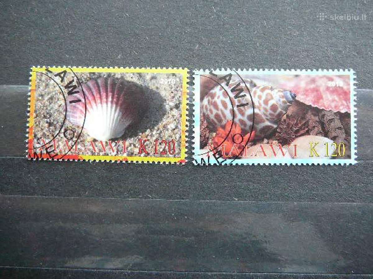 Kriaukles antsp. s746k