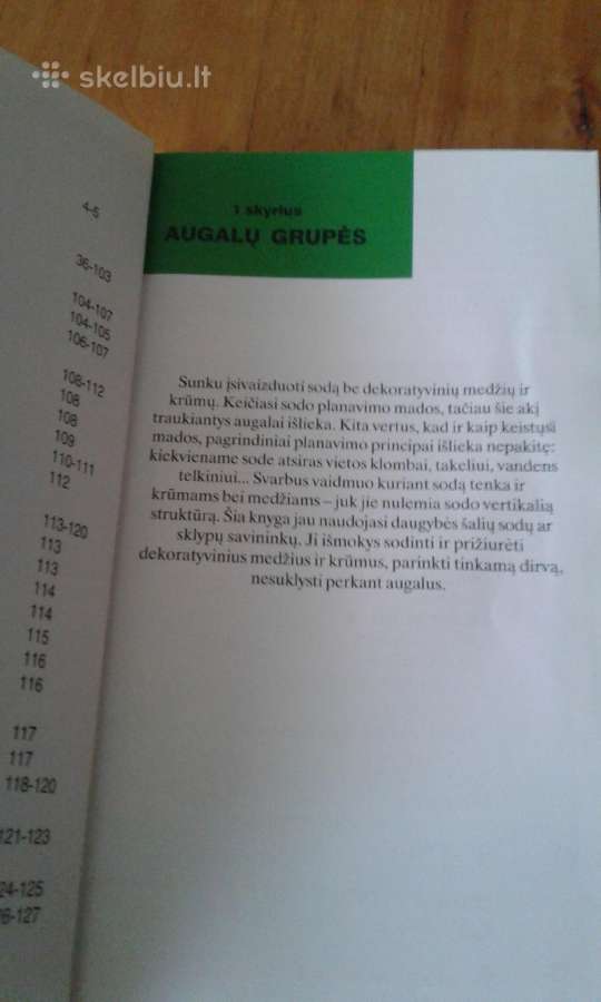 Dekoratyviniai medžiai ir krūmai 2003 m. - nuotraukos Nr. 5