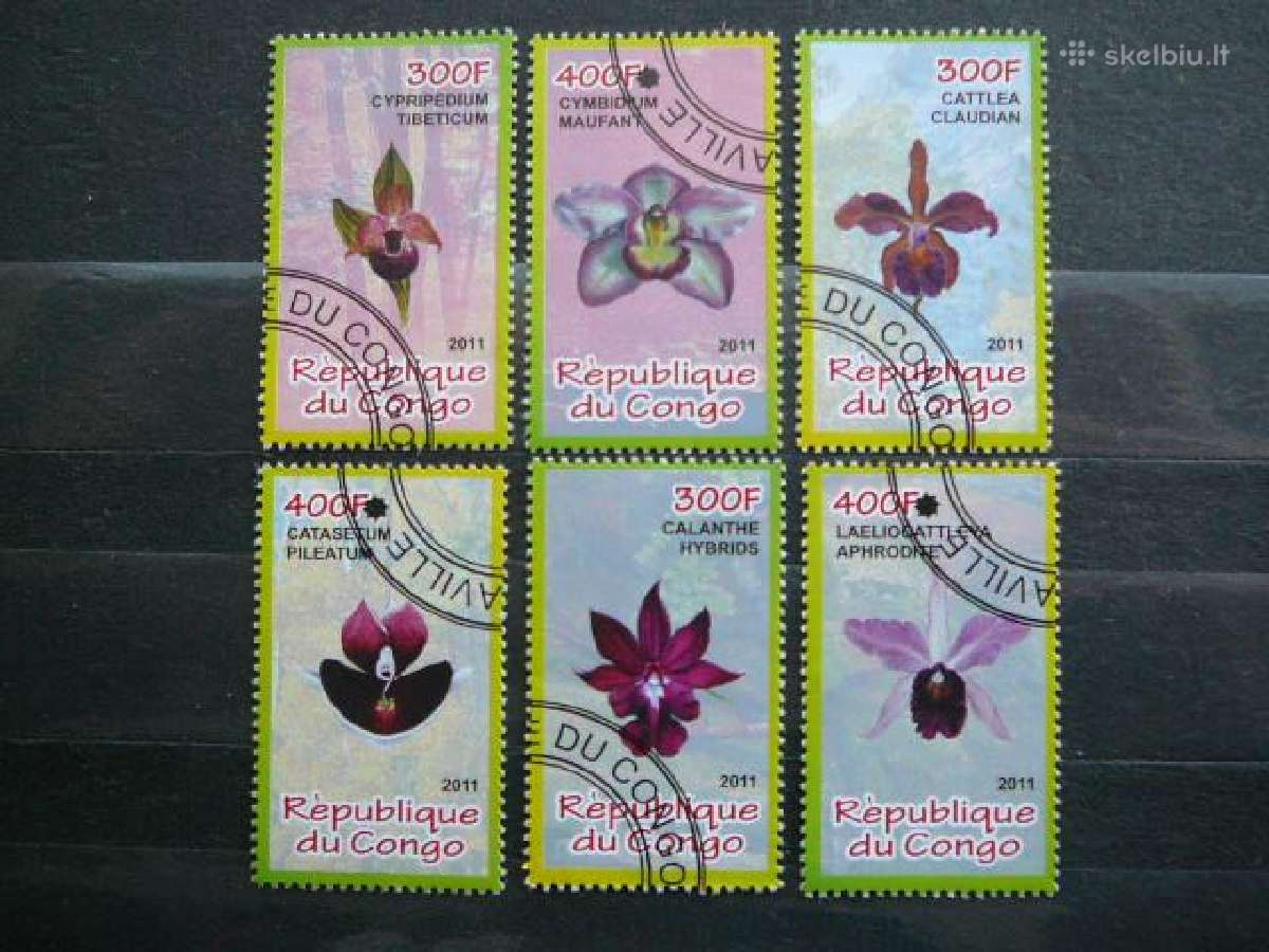 Orchidejos Geles Kongas 2011 antsp. s909h
