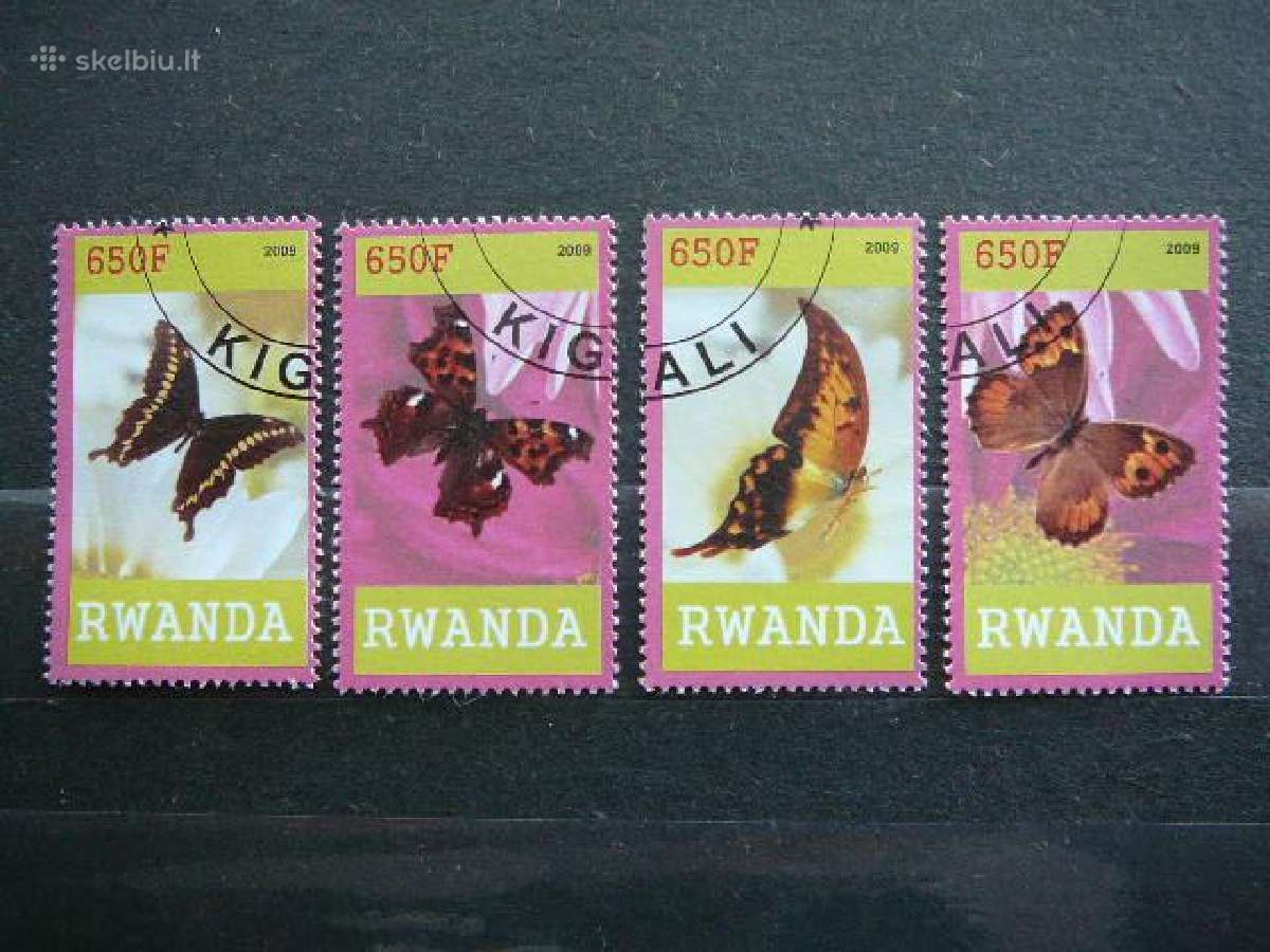 Drugeliai Ruanda 2009 antsp. s536r