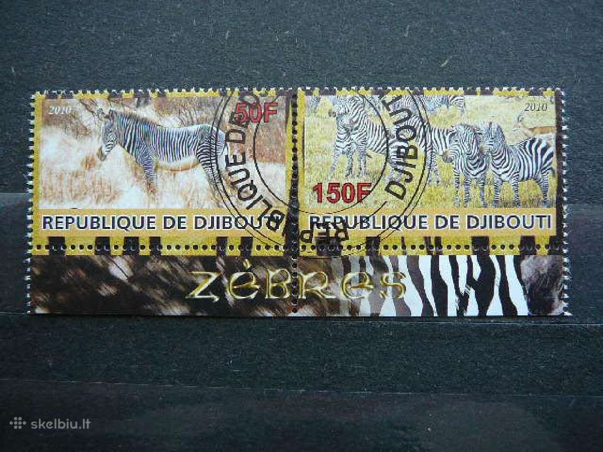 Zebrai Dzibutis 2010 antsp. s795z