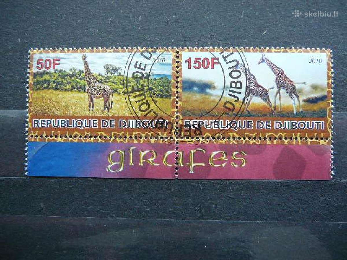 Zirafos Dzibutis 2010 antsp. s797f