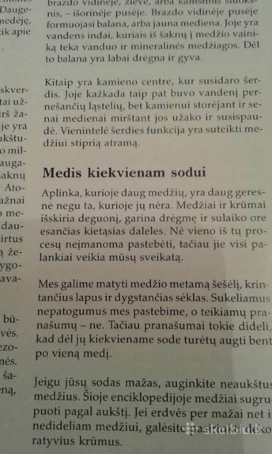 Dekoratyvinių medžių ir krūmų enciklopedija 2003 m - nuotraukos Nr. 5