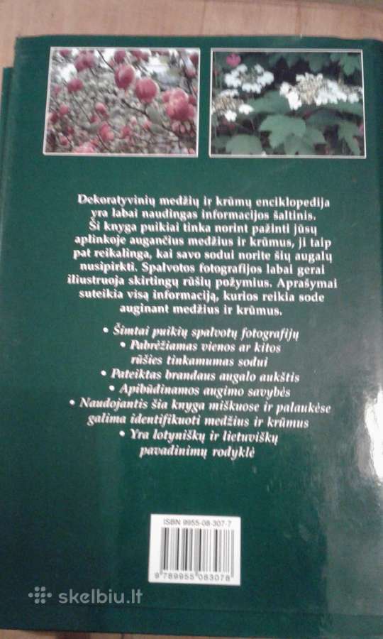 Dekoratyvinių medžių ir krūmų enciklopedija 2003 m - nuotraukos Nr. 14