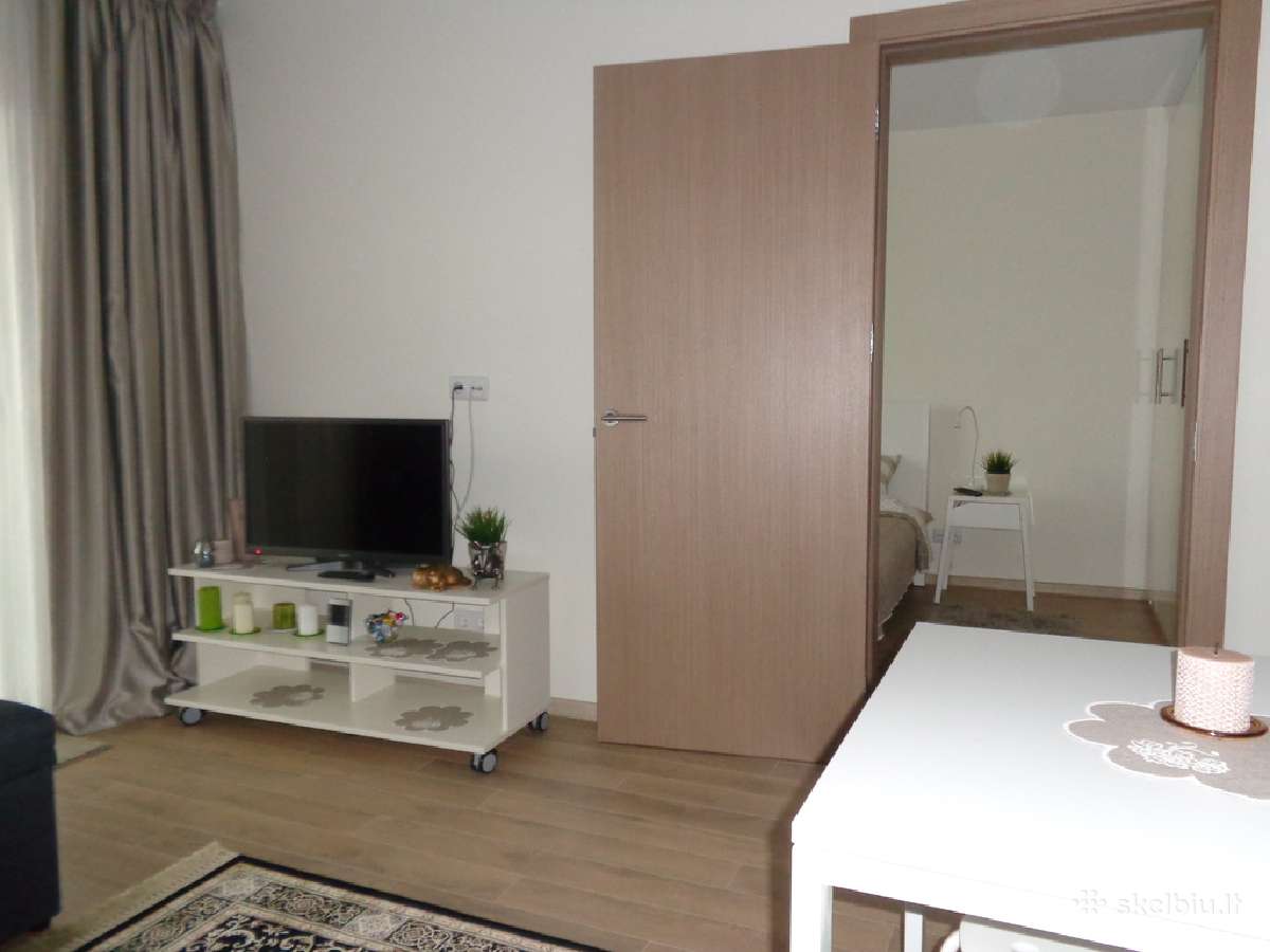Jaukaus apartamento nuoma Palangos centre - nuotraukos Nr. 5