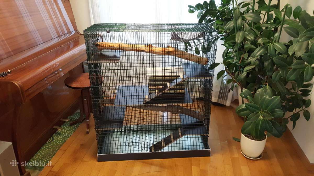 Didelis narvas fretkai,šinšilui,šeškui - nuotraukos Nr. 6