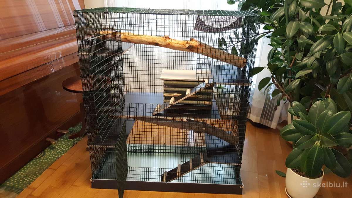 Didelis naujas narvas šinšiliui, degu - nuotraukos Nr. 2