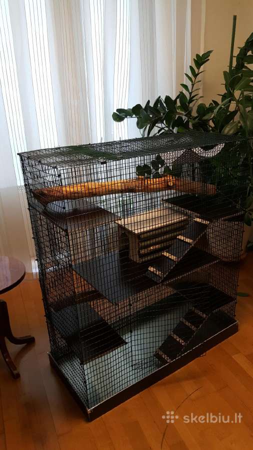 Didelis naujas narvas šinšiliui, degu - nuotraukos Nr. 3