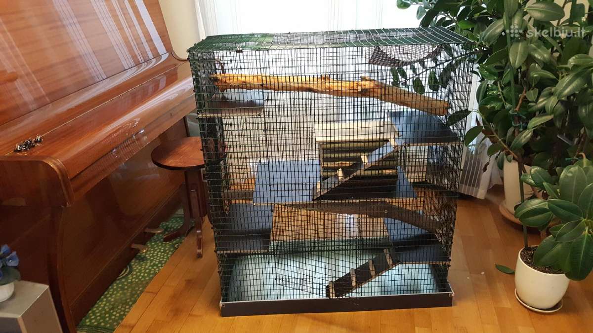 Didelis naujas narvas šinšiliui, degu - nuotraukos Nr. 4