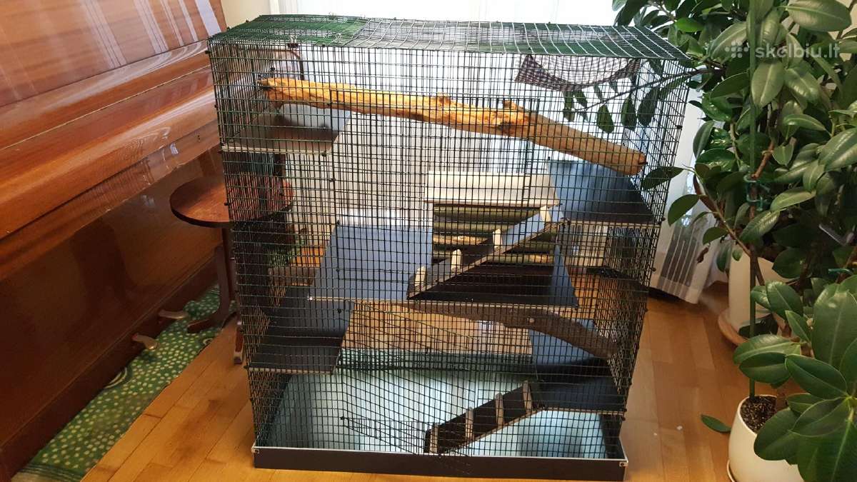 Didelis naujas narvas šinšiliui, degu - nuotraukos Nr. 5