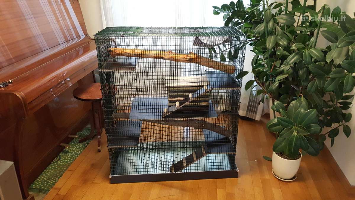 Didelis naujas narvas šinšiliui, degu - nuotraukos Nr. 6
