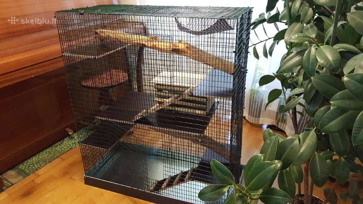 Didelis naujas narvas šinšiliui, degu - nuotraukos Nr. 8