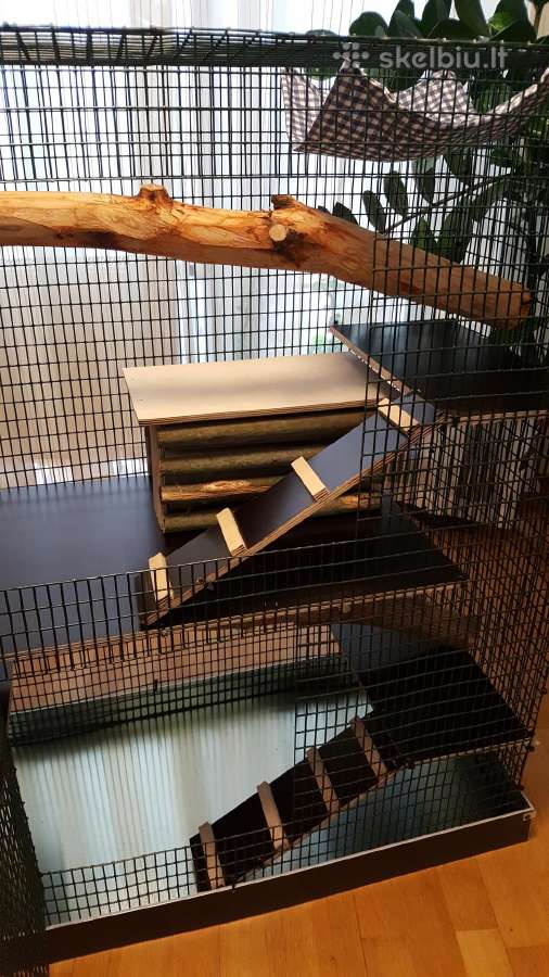 Didelis naujas narvas šinšiliui, degu - nuotraukos Nr. 10