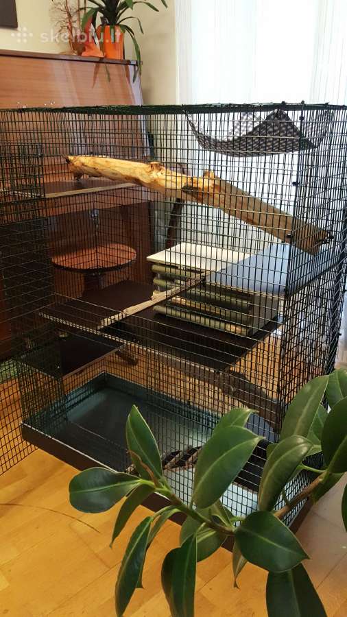 Didelis naujas narvas šinšiliui, degu - nuotraukos Nr. 11