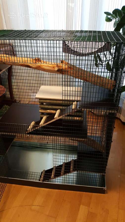Didelis naujas narvas šinšiliui, degu - nuotraukos Nr. 12