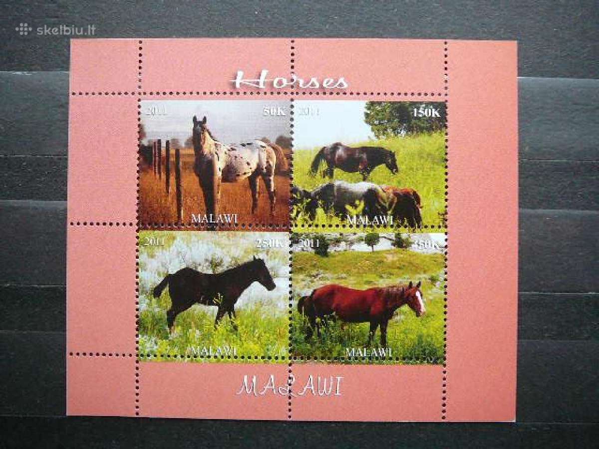 Arkliai Malavis 2011 svarus ak1578