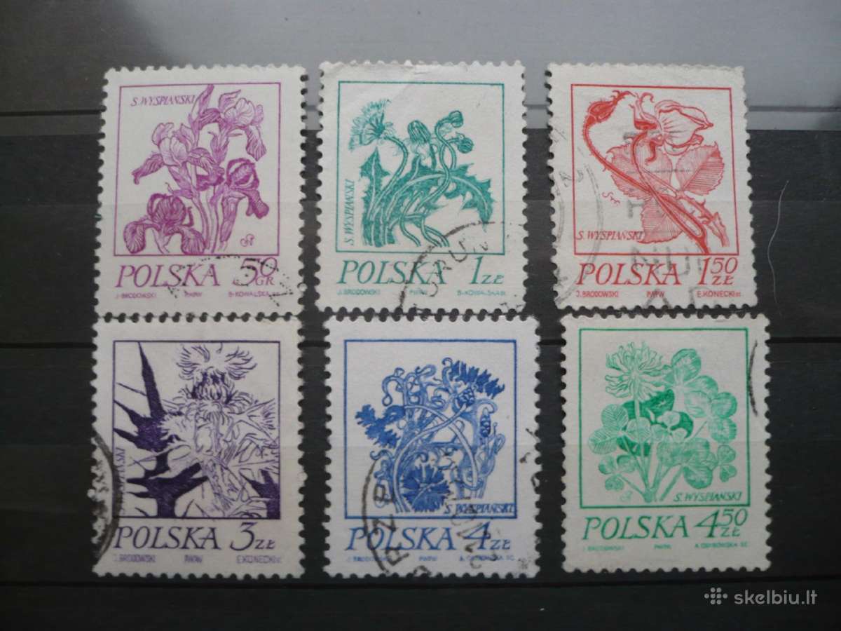 1974 Flower Drawings by Stanislaw Wyspianski