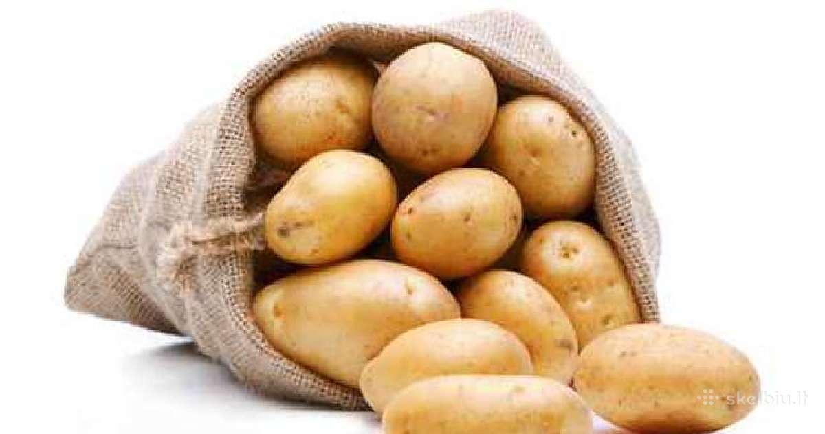 Kokybiškos bulvės tiesiai iš ūkininko! - nuotraukos Nr. 3