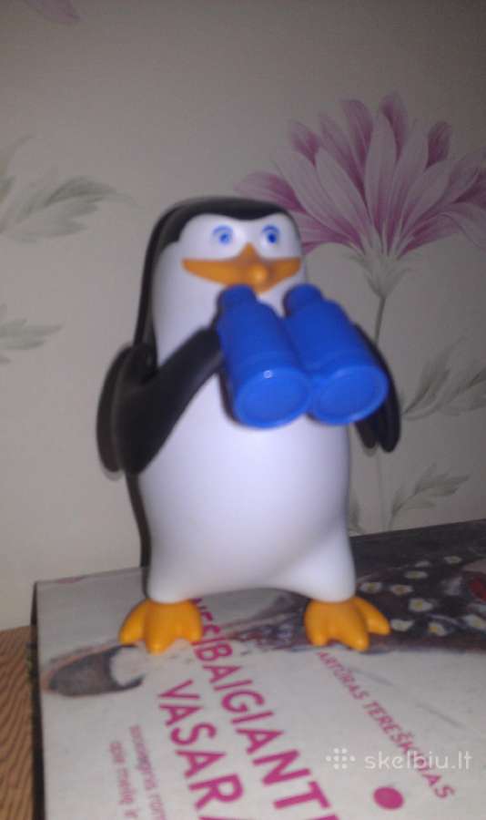 Pingvinas žiūri pro žiuronus :)