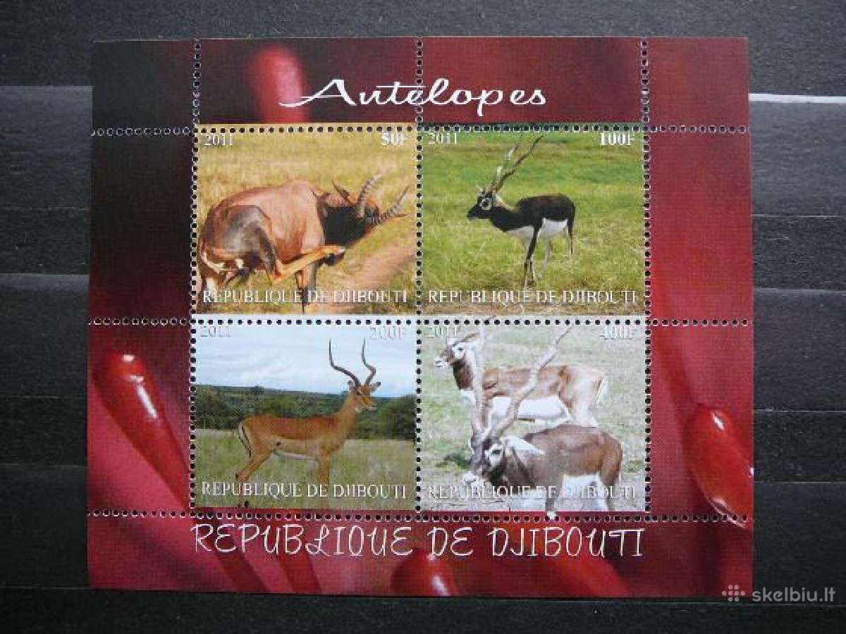 Antilopes Dzibutis 2011 svarus nt1877