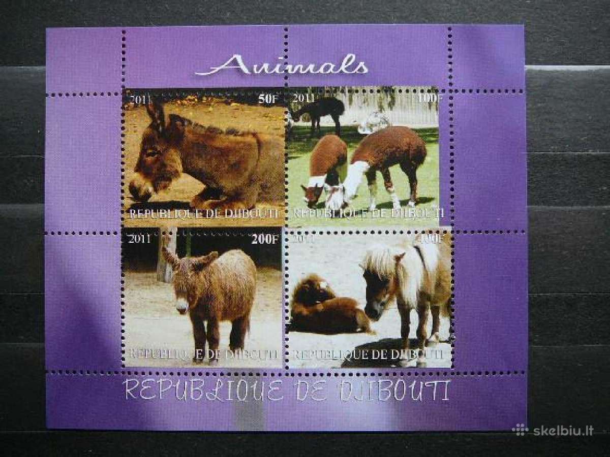 Arkliai Lama Dzibutis 2011 svarus nt1879