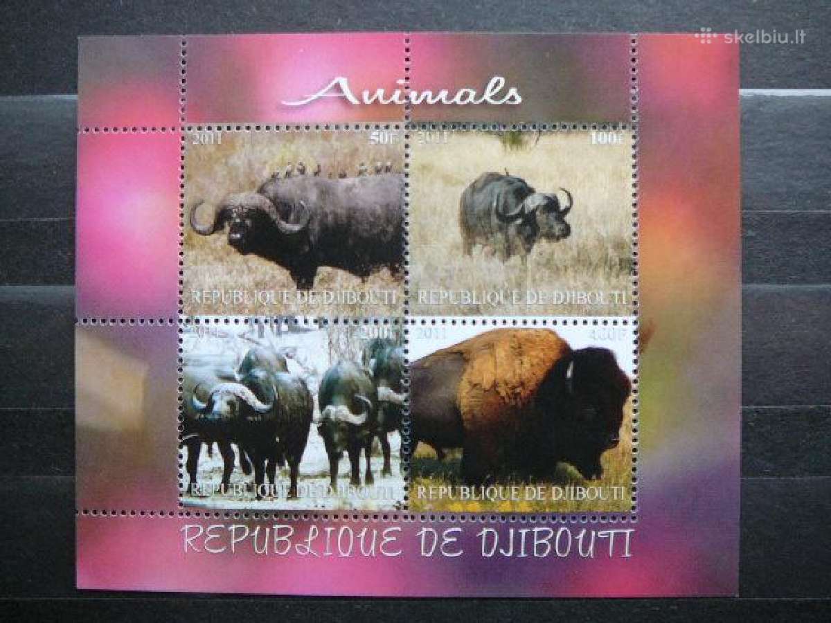 Buivolai Bizonai Dzibutis 2011 svarus nt1880