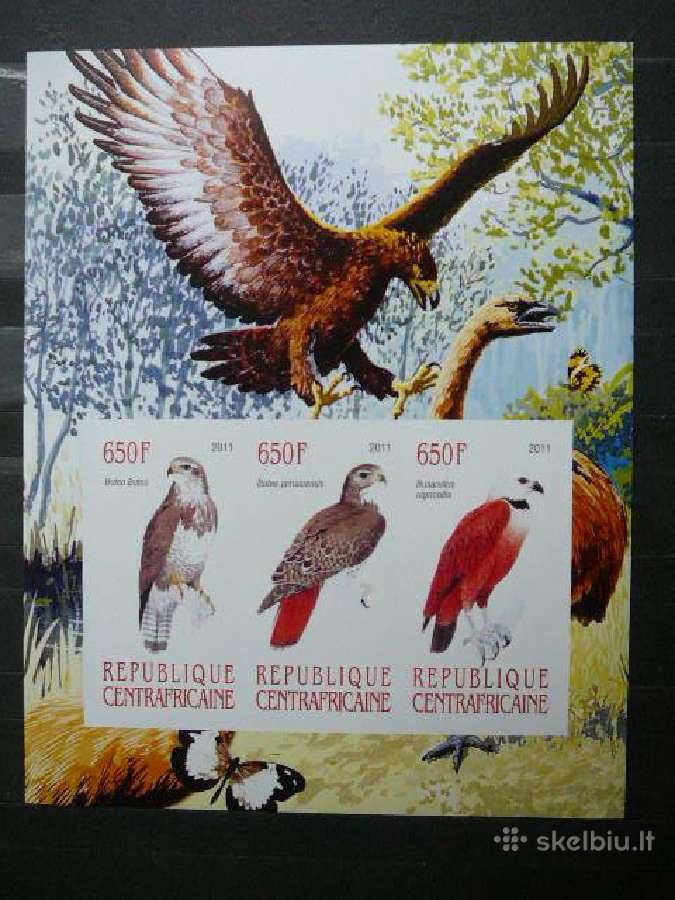 Ereliai Pauksciai svarus rl784a/b - nuotraukos Nr. 2