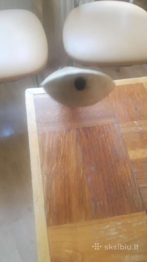 Medine sena pypke apie 80 metuku - nuotraukos Nr. 6