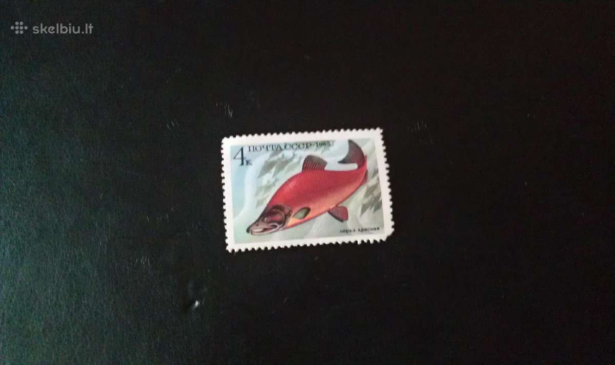 Pašto ženklas 1983 m. markutė be spaudo - nuotraukos Nr. 2