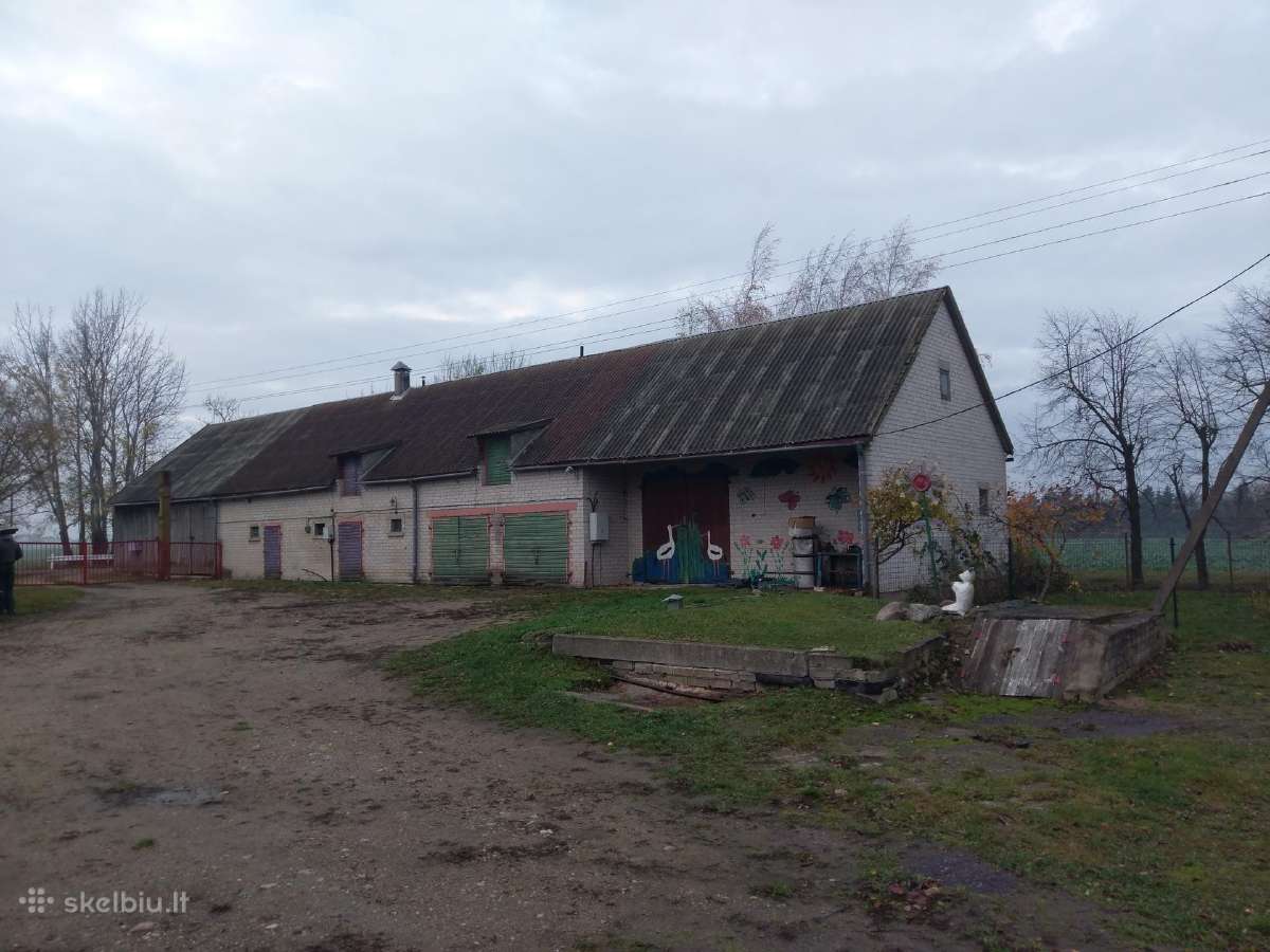 Stogu dengimas. Renovacija. Visi skardinimo darbai - nuotraukos Nr. 2