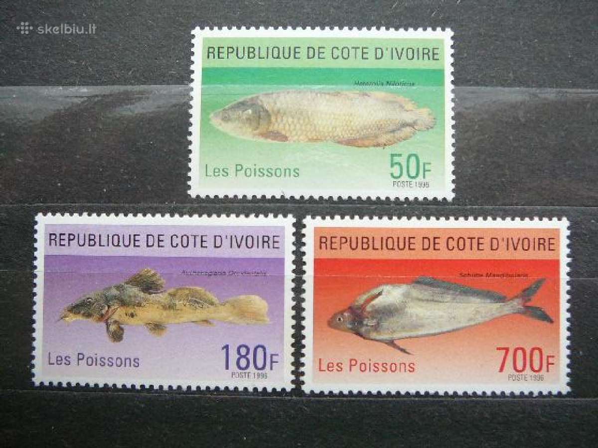 Zuvys Cote d Ivoire svarus alb344