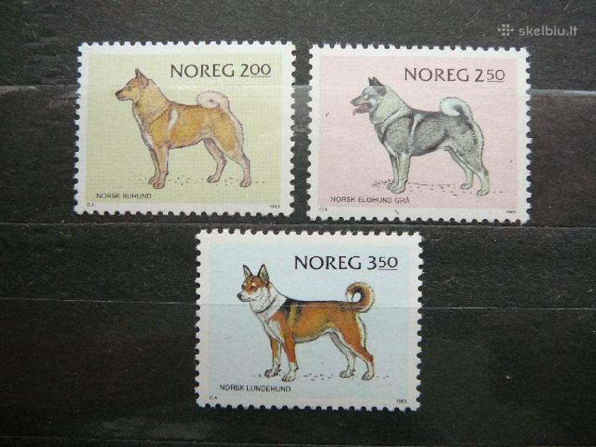 Sunys Norvegija svarus alb346