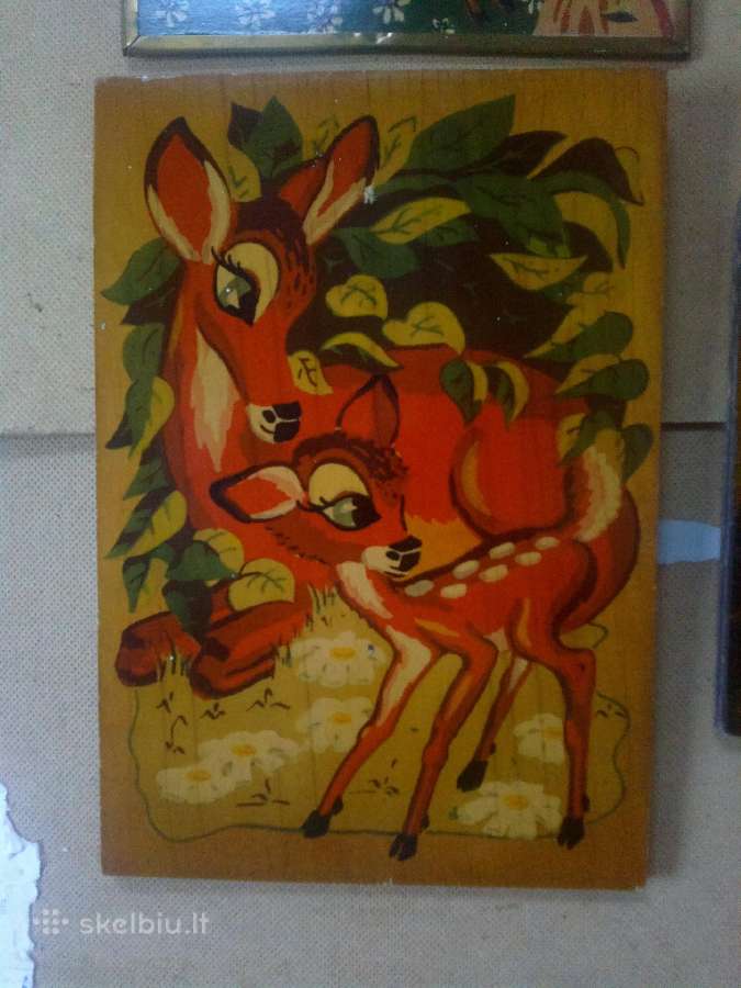 Paveikslai - nuotraukos Nr. 11