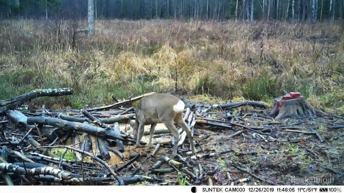 Nauja medžioklinė kamera Hc300m (Email, Mms) - nuotraukos Nr. 2