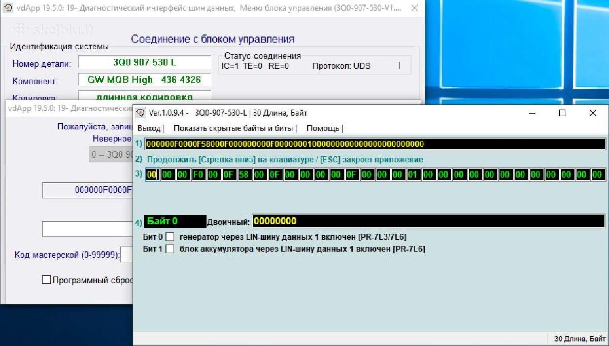 Originalus Vasia Diagnost 25.7, vcds 22.3.3 rus - nuotraukos Nr. 9