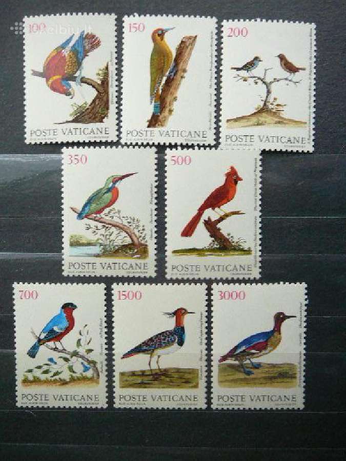 Pauksciai Vatikanas svarus mnh vt893