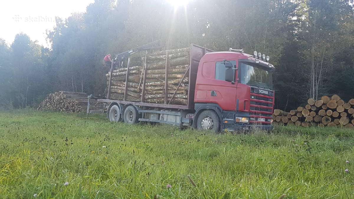 Malkos rąsteliais pigiau! Beržas, ązuolas, juodalk - nuotraukos Nr. 11